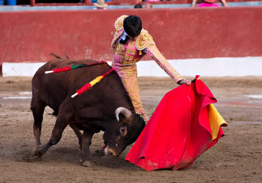 Corrida de toros plaza de toros de Mallorca