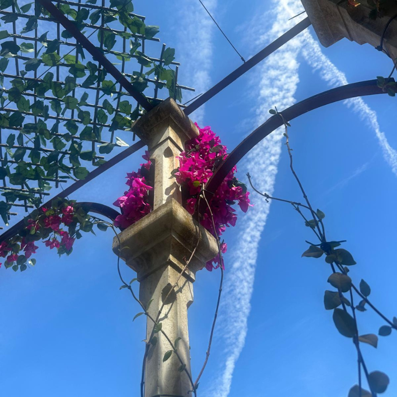 Monumental de Muro Mallorca